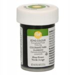 Wilton Barwnik W Żelu Moss Green ZIELEŃ MCHU 28g - obrazek 2
