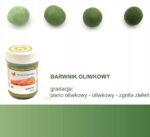 BARWNIK SPOŻYWCZY W ŻELU 35g - Zielony Oliwkowy - obrazek 3