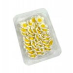 OZDOBNE CUKROWE kwiatuszki kwiatki Wiosenne 2,5cm 36 szt białe - obrazek 3