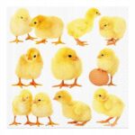 f53d6a348b375acd34d30bab2ea30a15.jpg › Udanewypieki